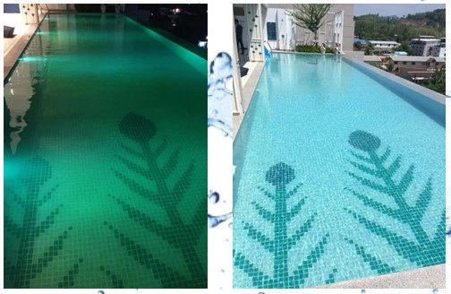 ภาพสระว่ายน้ำสองภาพประกอบในเอกสาร Green Bioxide