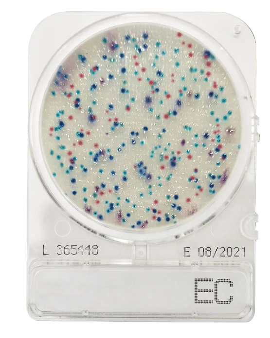 Compact Dry EC