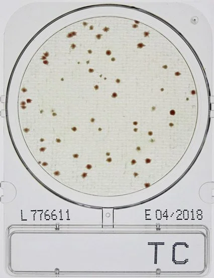 Compact Dry TC